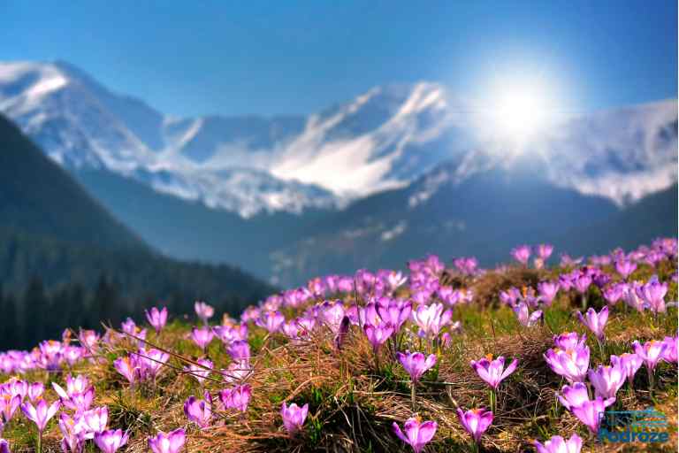 widok na tatry