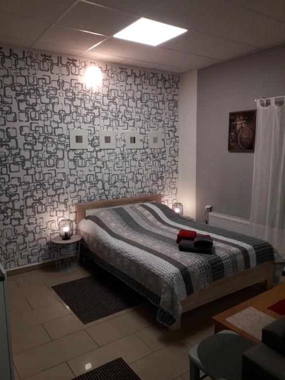 Samodzielny domek Studio - 35m2 centrum Ciechanów, hotel blisko dworca Ciechanów