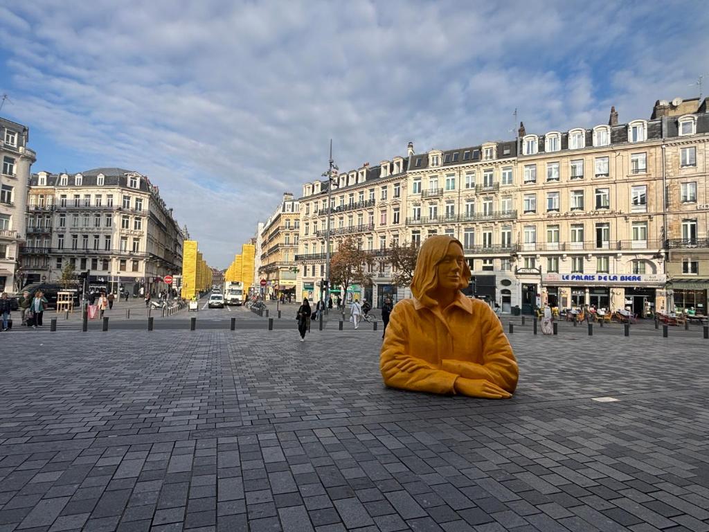 Studio en face de la Gare Lille Flandres, nocleg blisko dworca Lille Flandres