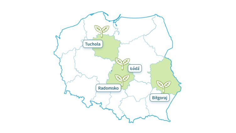 Kolej na LAS województwa w których europodróże sadzi drzewa