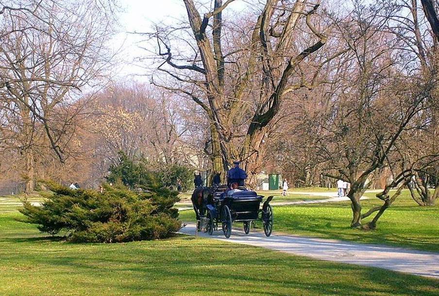 Park Zamkowy w Łańcucie, atrakcja w pobliżu dworca Łańcut