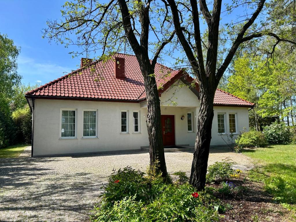 Villa Otolice obok Łowicza, 6 sypialni, balia, sauna, basen, snooker, 50 minut od Warszawy i Łodzi, nocleg blisko dworca Łowicz Główny