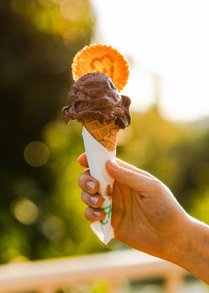 Lody Willisch, okolice dworca Mogilno