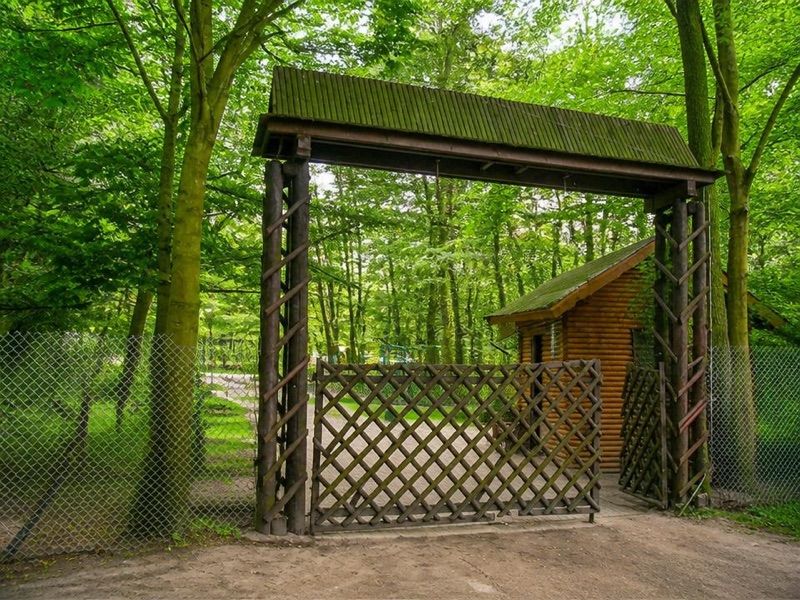 ZOO Nowy Tomyśl, atrakcja w pobliżu dworca Nowy Tomyśl