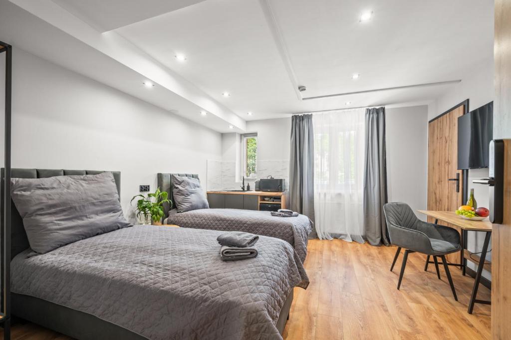 Central Platinum Apartments 11, nocleg blisko dworca Rybnik