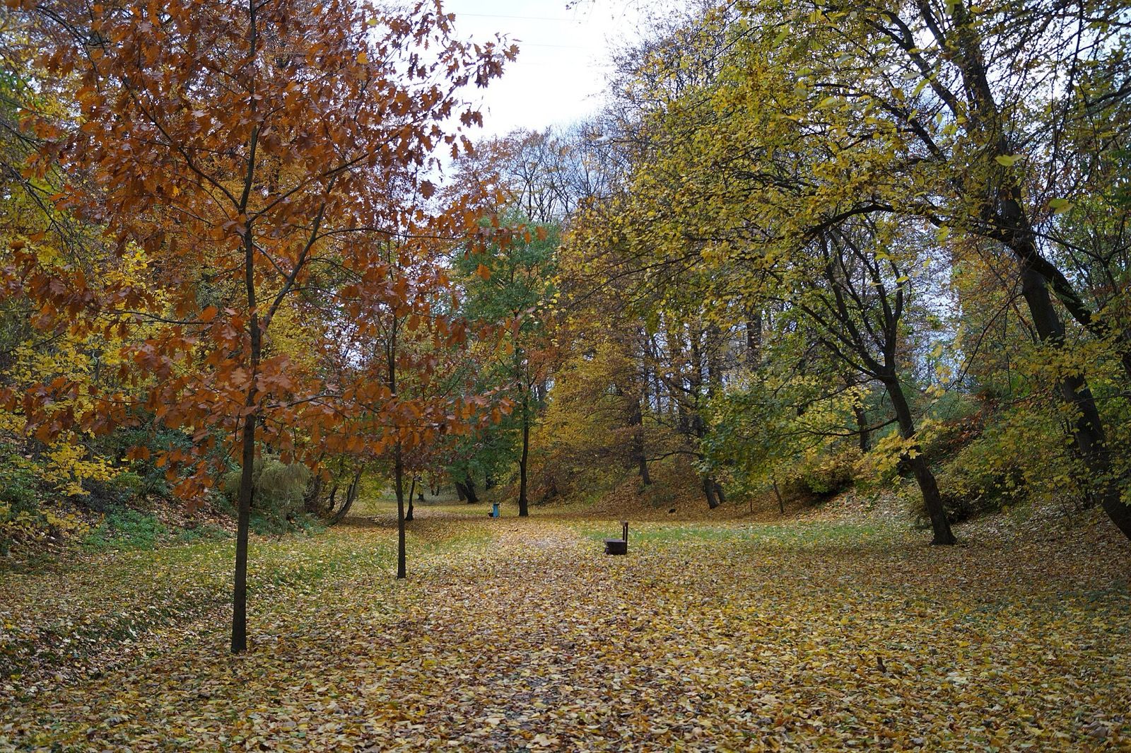 Park Buczyna, atrakcja w pobliżu dworca Sędziszów Małopolski