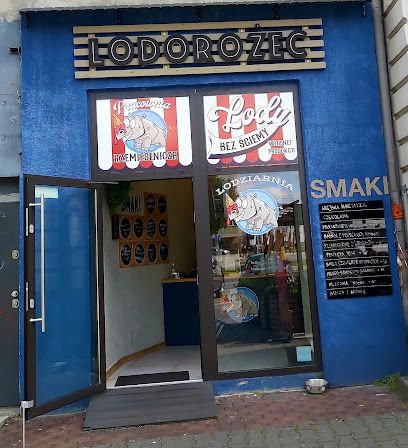 Lodorożec, okolice dworca Sosnowiec Główny