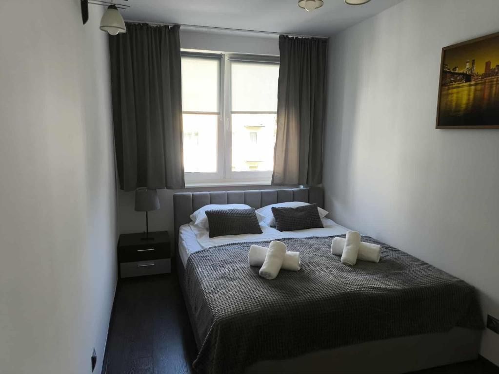 Alma Apartments Starachowice, hotel blisko dworca Starachowice