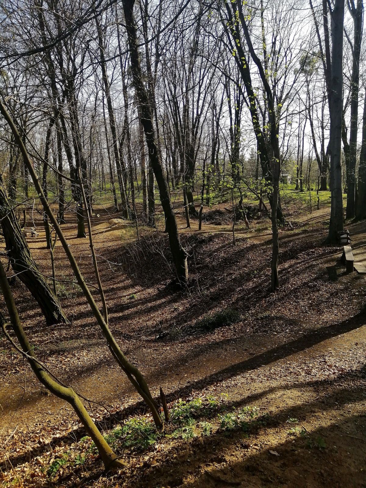 Park Ojców Kamilianów, atrakcja w pobliżu dworca Tarnowskie Góry