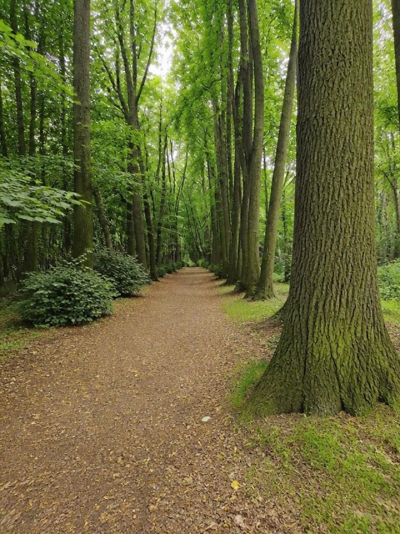 Park Ojców Kamilianów, atrakcja w pobliżu dworca Tarnowskie Góry