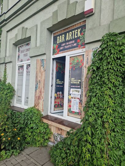Lody włoskie, okolice dworca Tomaszów Mazowiecki