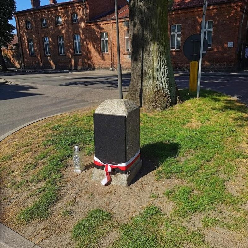 Wieleński Symbol Polskości - Dąb Arendt, atrakcja w pobliżu dworca Wieleń Północny