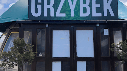 GRZYBEK, okolice dworca Władysławowo