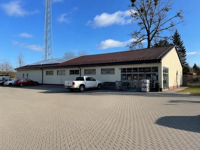 Dino, okolice dworca Wysoka Kamieńska