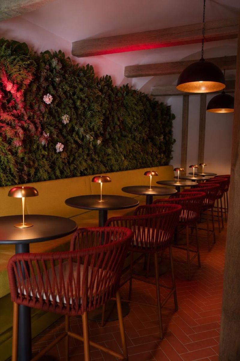 PATIO Restauracja & Cocktail Bar, okolice dworca Zamość Wschód