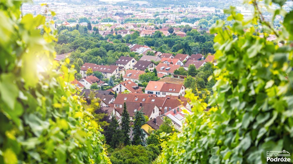 Top 5 restauracji w Stuttgarcie, które warto odwiedzić Top 5 restauracji w Stuttgarcie, które warto odwiedzić