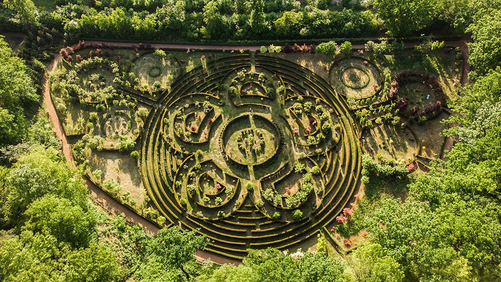 Atrakcje na Śląsku - jakie ciekawe miejsca warto tam zwiedzić? Arboretum Bramy Morawskiej w Raciborzu