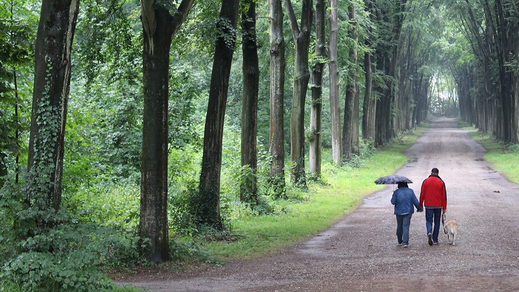 Atrakcje w Ostrawie — najlepsze miejsca i zabytki do zwiedzania Park Komeńskiego w Ostrawie