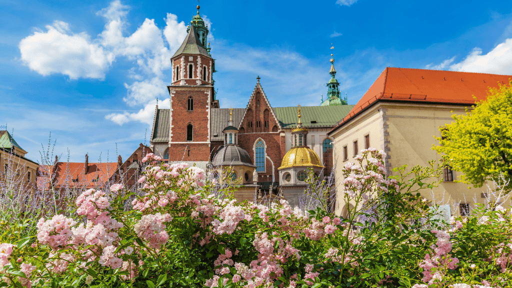 Wawel Widok na Wawel