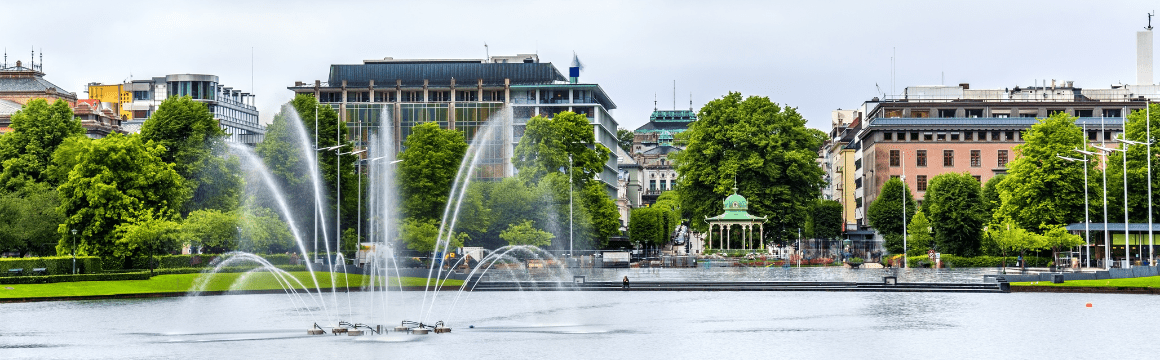 Lille widok latem