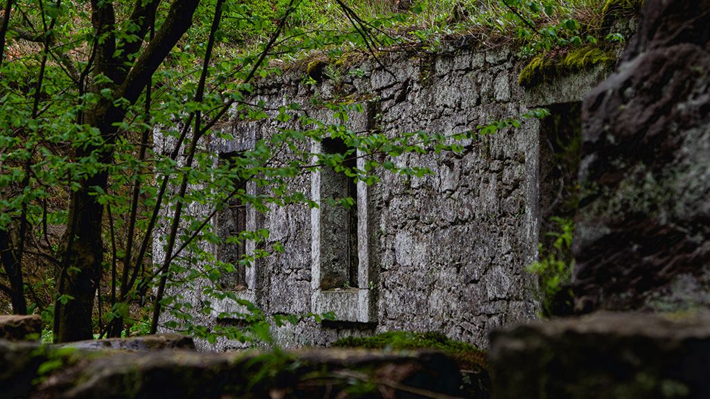 Warmia i Mazury - 16 atrakcji turystycznych, miejsc i zabytków Mamerki