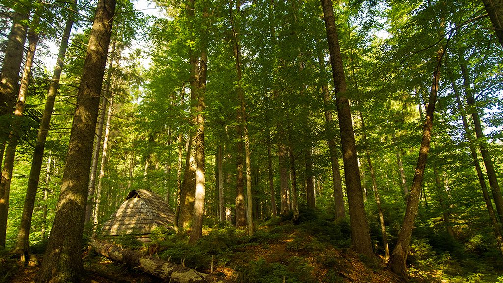 Lubelskie - 15 atrakcji turystycznych, które musisz zobaczyć Roztoczański Park Narodowy