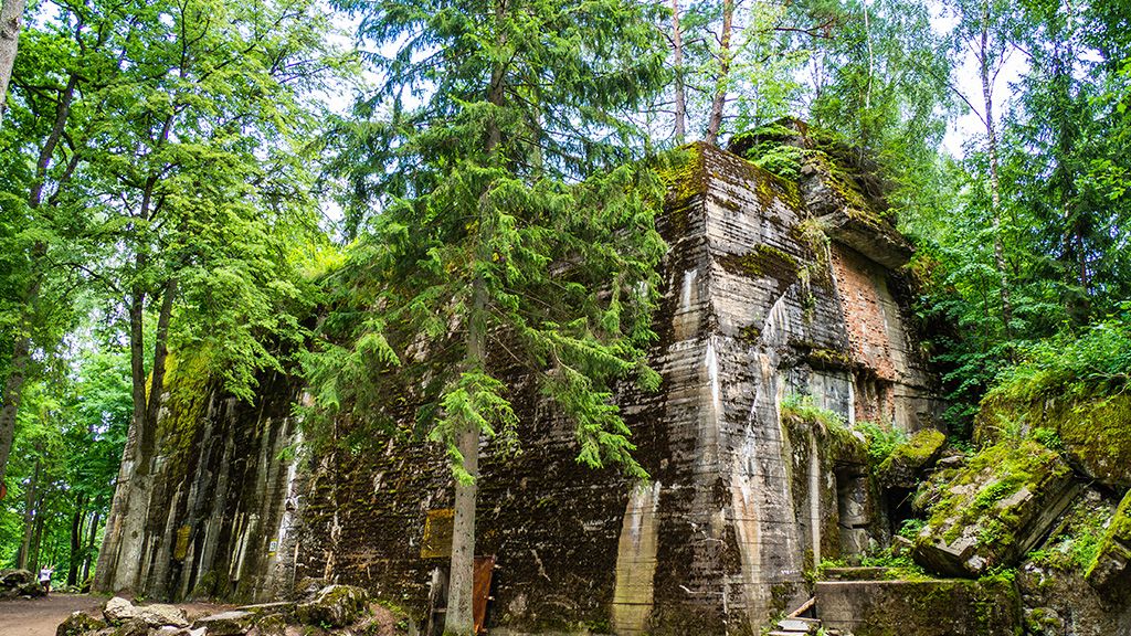 Warmia i Mazury - 16 atrakcji turystycznych, miejsc i zabytków Wilczy Szaniec