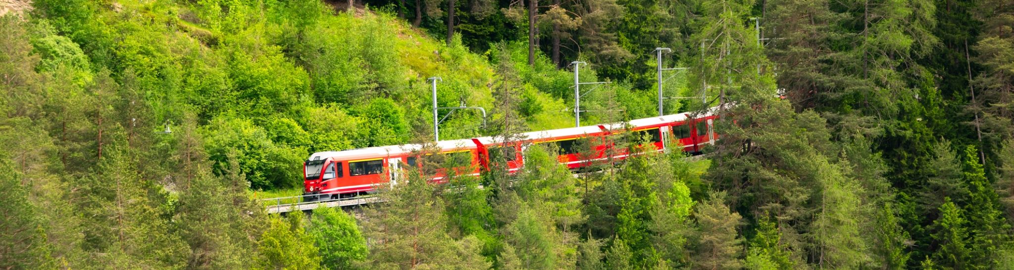 Czy kolej jest ekologicznym środkiem transportu? Pociąg jadący przez las