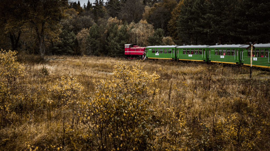 Bieszczadzką Kolejką Leśną Bieszczadzka Kolejka Leśna