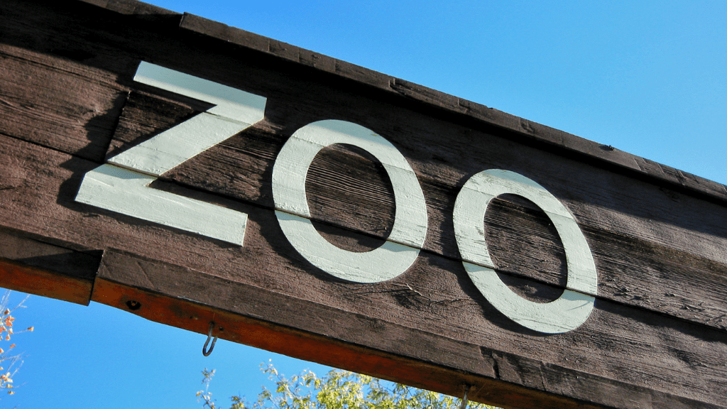 Płock – atrakcje turystyczne, miejsca i zabytki warte obejrzenia Napis ZOO