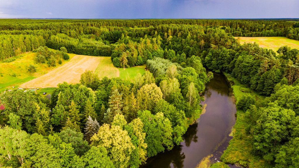 Kujawsko-pomorskie - atrakcje turystyczne dla dzieci i dorosłych Bory Tucholskie z lotu ptaka