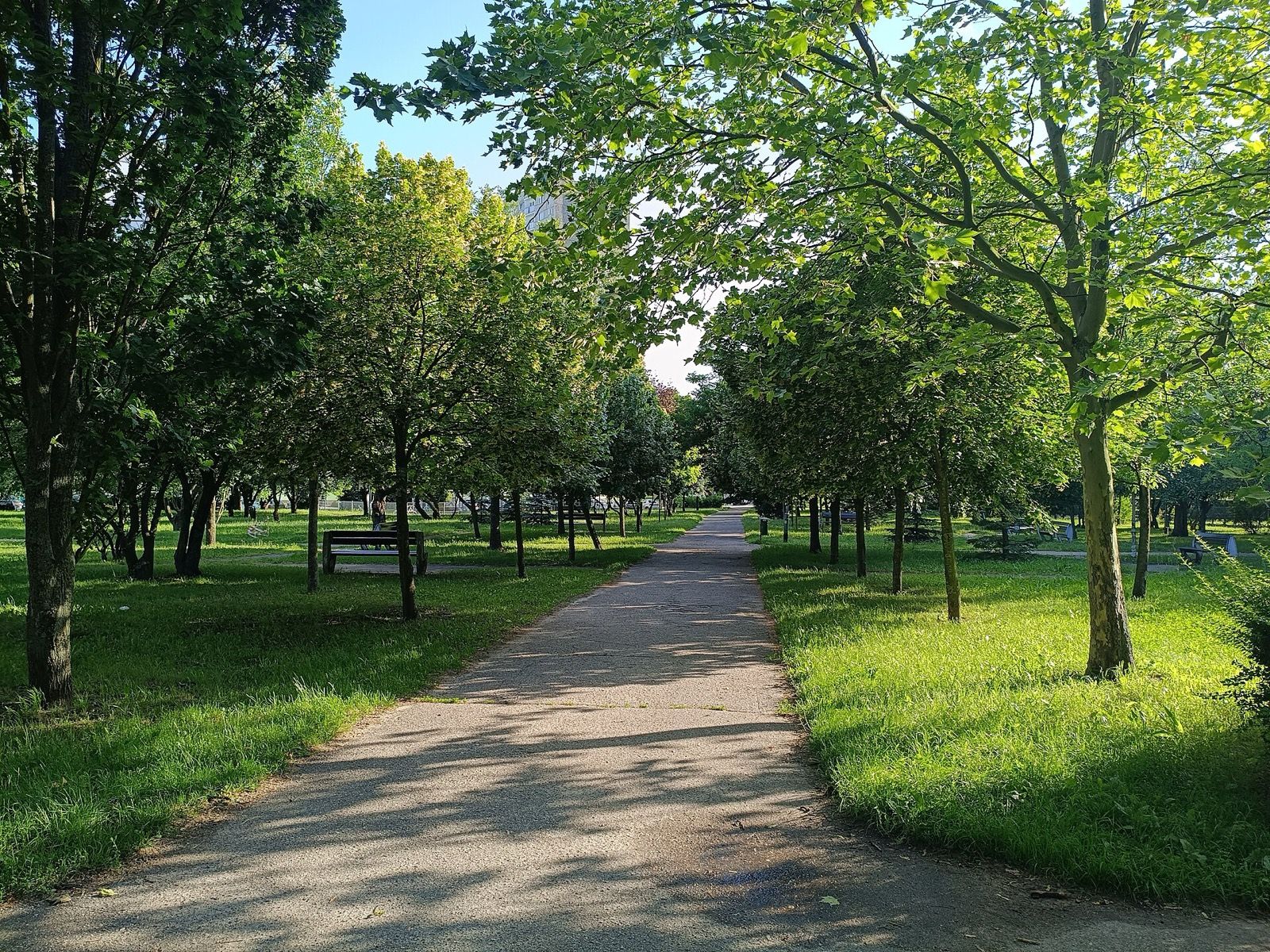 Park Orła Białego, atrakcja w pobliżu dworca Białogard