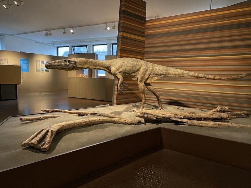 Bündner Naturmuseum, atrakcja w pobliżu dworca Chur