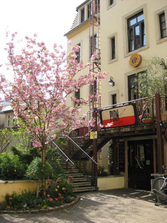 Hostel Louise 20, hotel blisko dworca Dresden-Neustadt