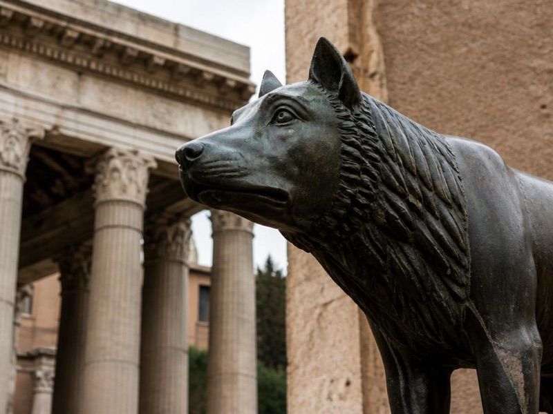 Capitoline Wolf, atrakcja w pobliżu dworca Tarragona