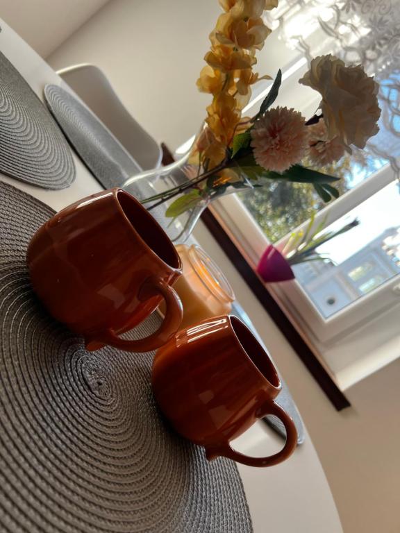 Apartament Wolności, nocleg blisko dworca Jaworzyna Śląska