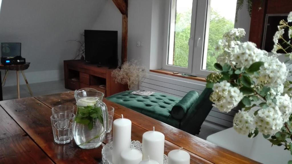 Brzoza i Świerk z widokiem na góry Apartament w centrum uzdrowiska przy Parku i Termach, nocleg blisko dworca Jelenia Góra Cieplice