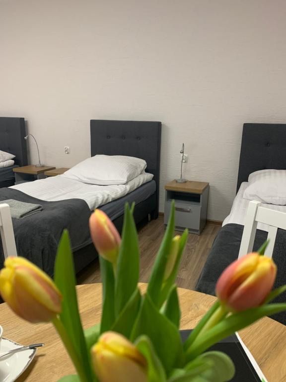Hostel Adabet, hotel blisko dworca Kępno