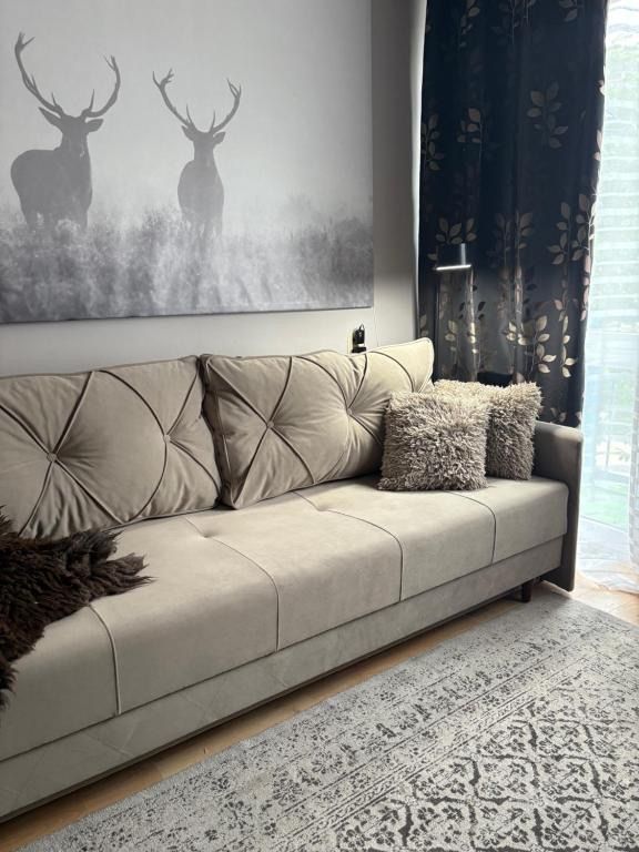 Przytulny Apartament, hotel blisko dworca Ostrowiec Świętokrzyski
