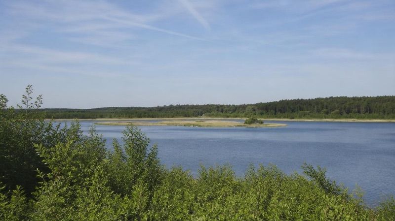 Rezerwat Przyrody Jezioro Liwieniec, atrakcja w pobliżu dworca Prabuty