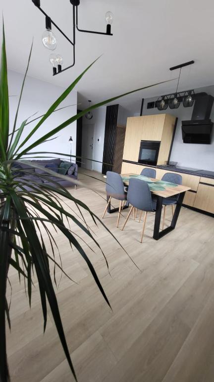 Apartament SOLO, nocleg blisko dworca Pruszcz Gdański