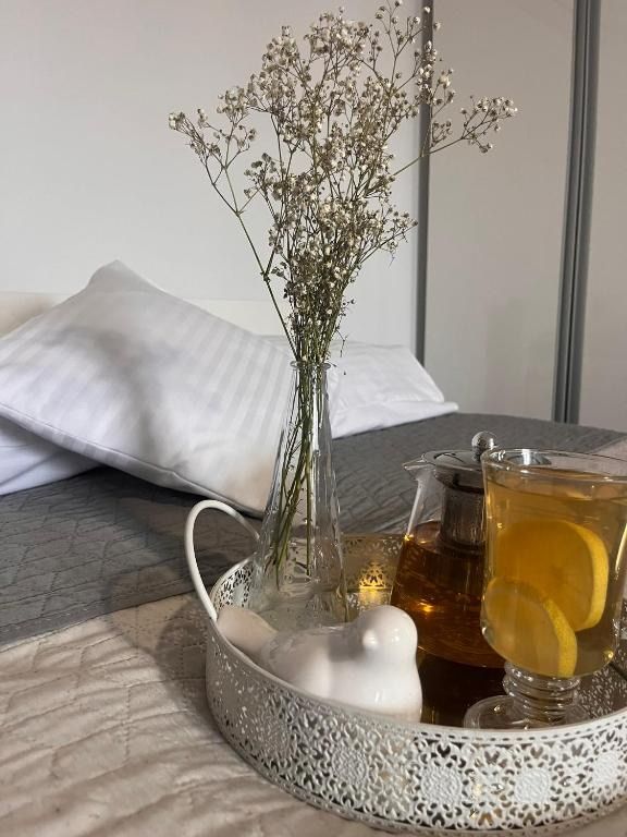 Apartament Na Starówce VII, hotel blisko dworca Pszczyna
