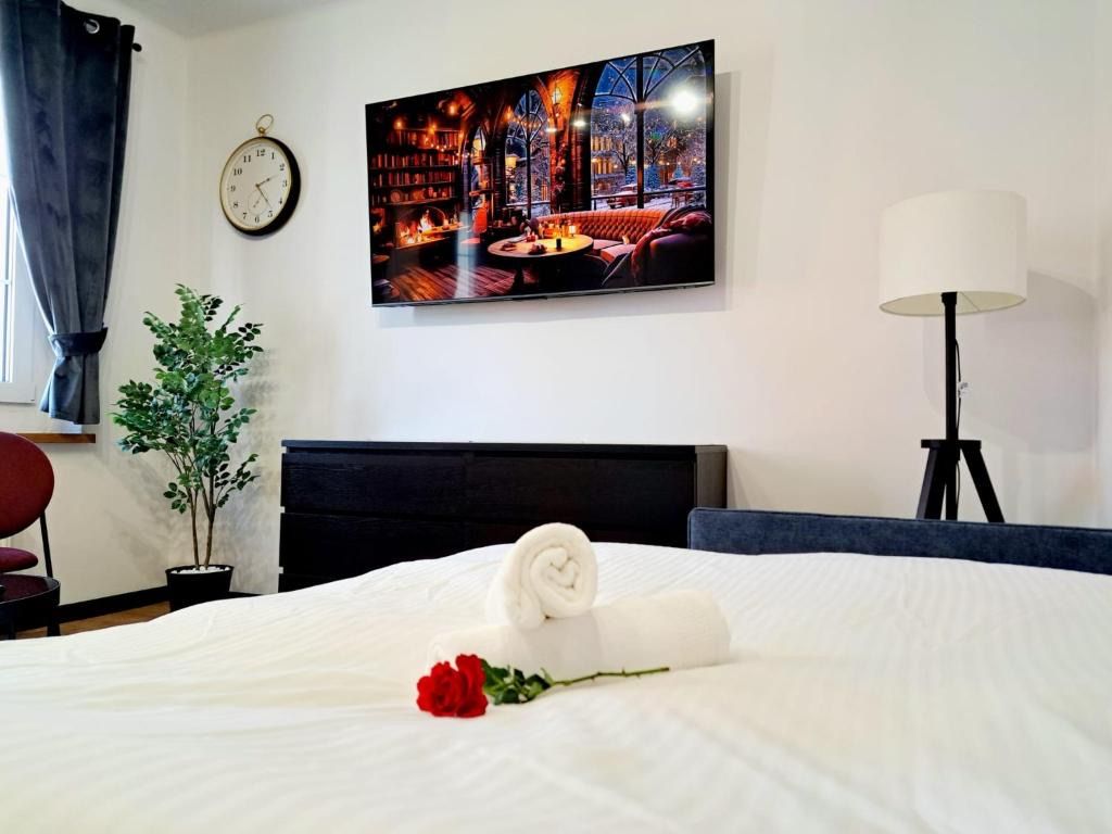Apartament Nova, hotel blisko dworca Racibórz