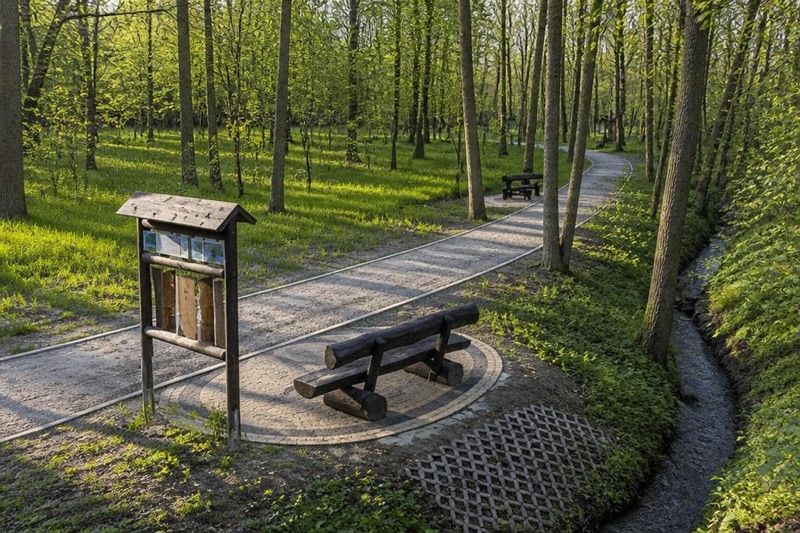 Park Leśny na Górnym Borze, atrakcja w pobliżu dworca Skoczów