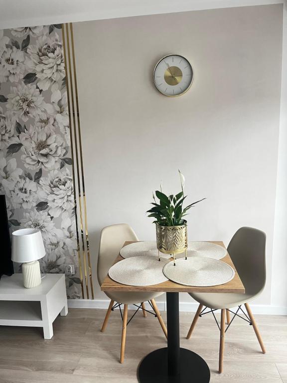 Apartament Rynek Strzelin, nocleg blisko dworca Strzelin
