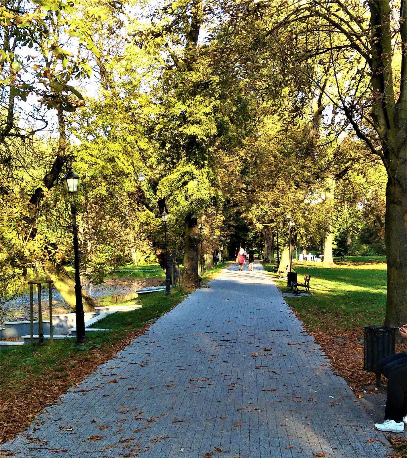Park Zamkowy, atrakcja w pobliżu dworca Szamotuły