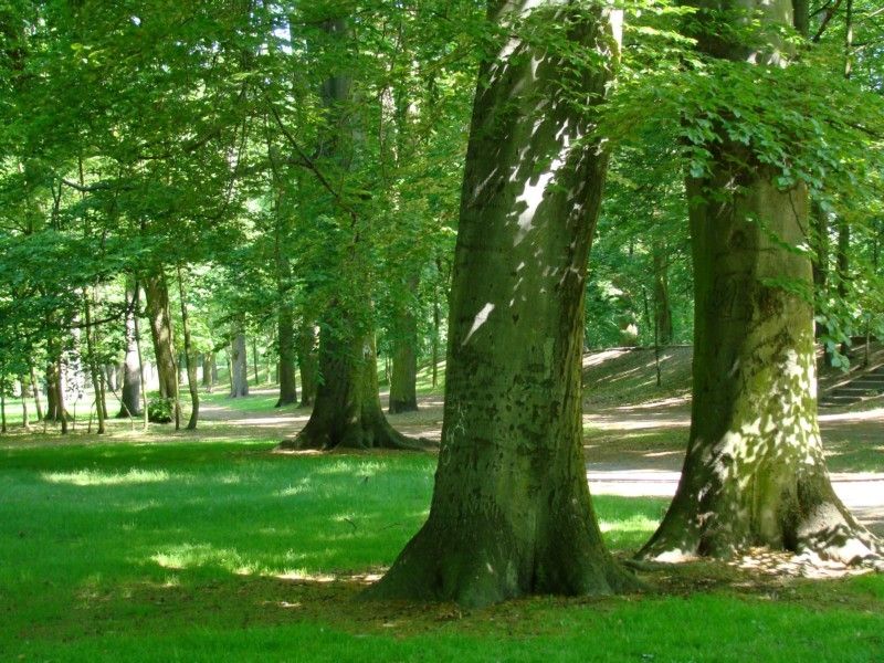 Park Majowe, atrakcja w pobliżu dworca Dąbie
