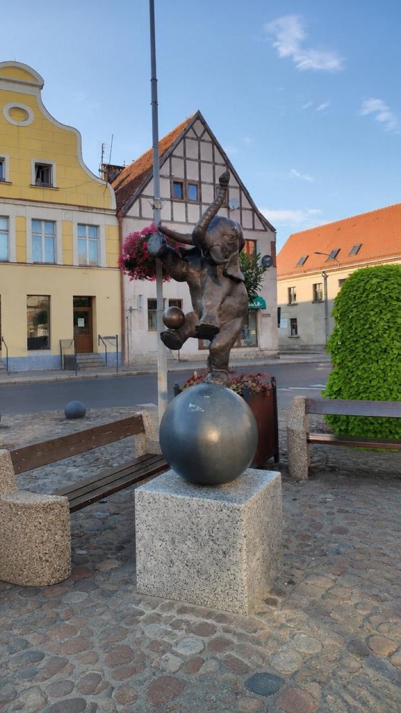 Rynek - Skulptura Słonia, atrakcja w pobliżu dworca Trzebiatów