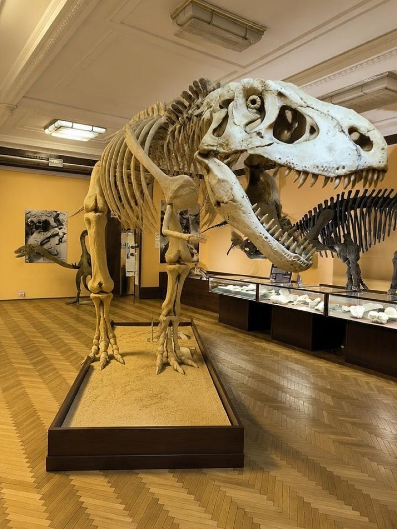 Muzeum Ewolucji w PKiN, atrakcja w pobliżu dworca Warszawa Główna