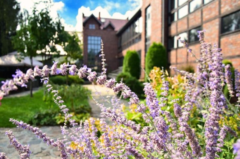 Stara Szkoła Boutique Hotel, hotel blisko dworca Wronki
